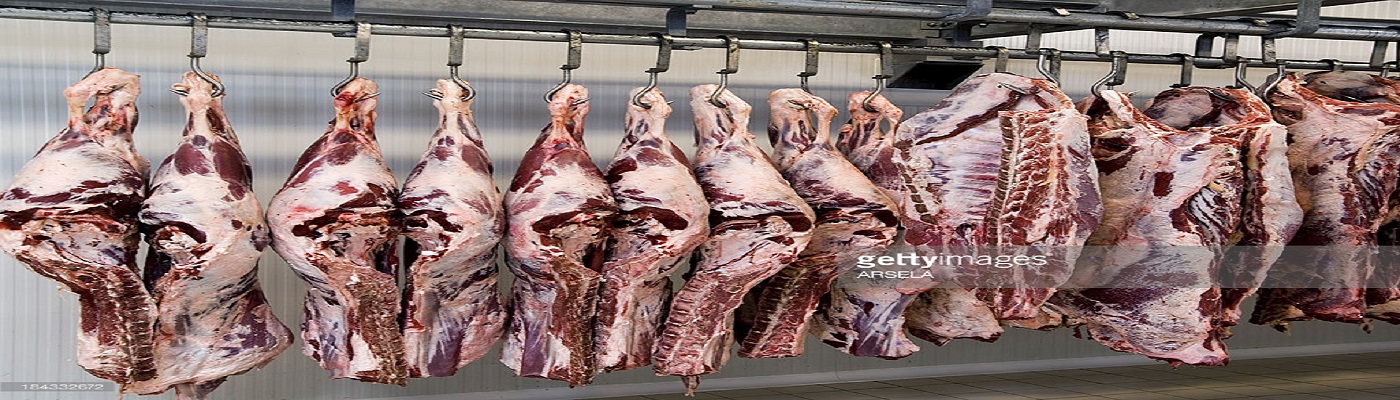 AHMCC HALAL CERTIFIED DISTRIBUTERS