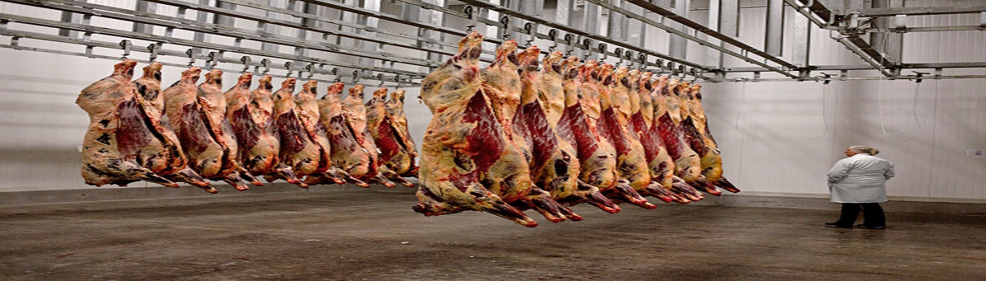 Alberta Halal Monitoring And Certification Council